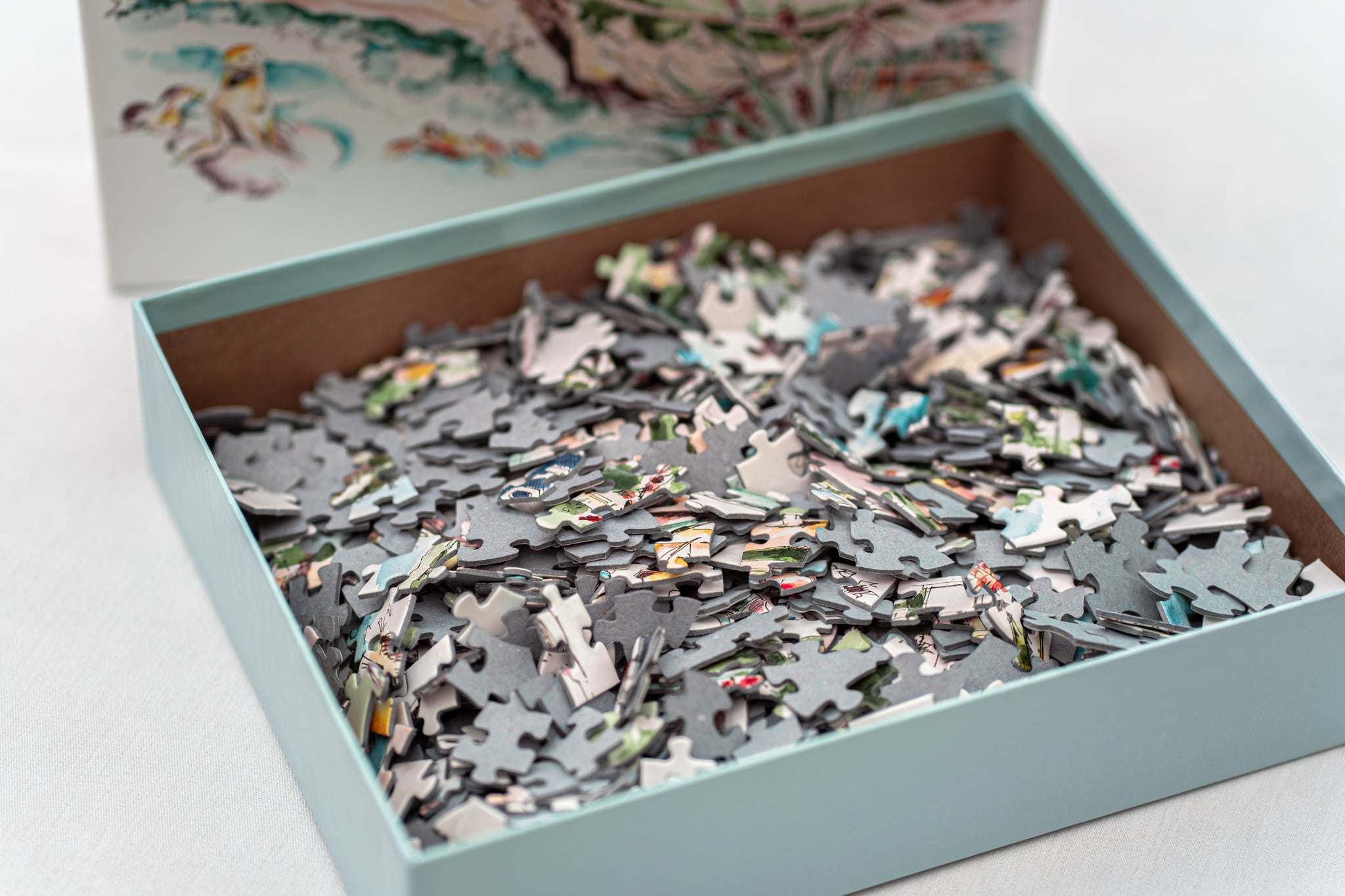 1,000 Piece La Jolla by the Sea Puzzle – La Valencia Hotel